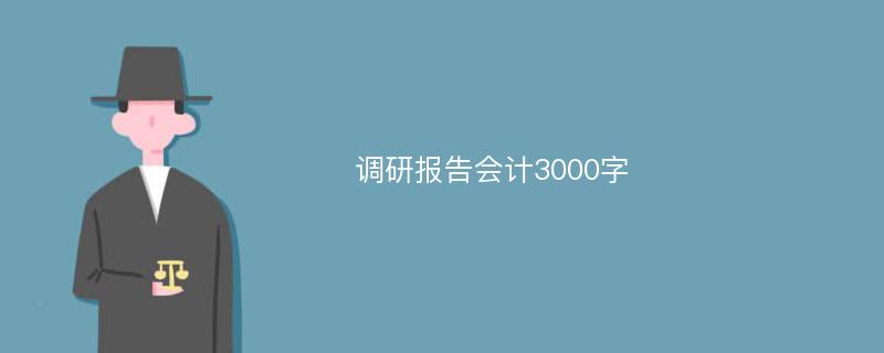 调研报告会计3000字