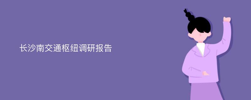 长沙南交通枢纽调研报告