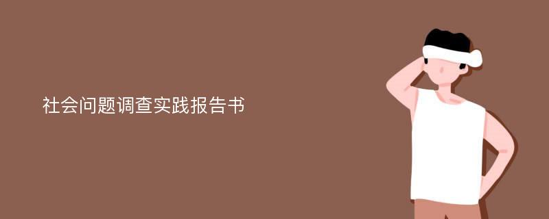 社会问题调查实践报告书