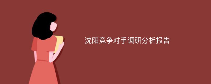 沈阳竞争对手调研分析报告