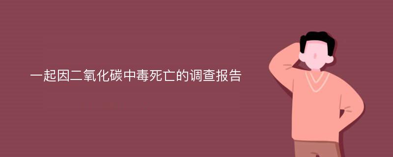 一起因二氧化碳中毒死亡的调查报告