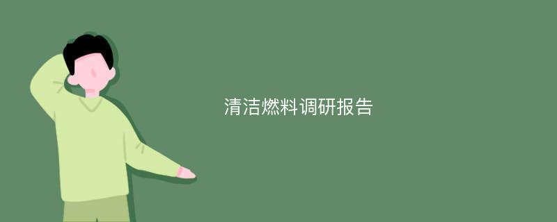 清洁燃料调研报告