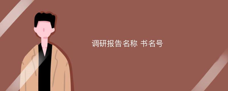 调研报告名称 书名号