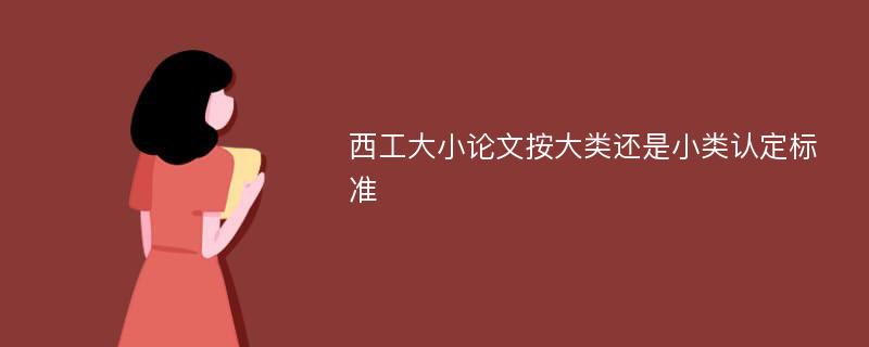 西工大小论文按大类还是小类认定标准