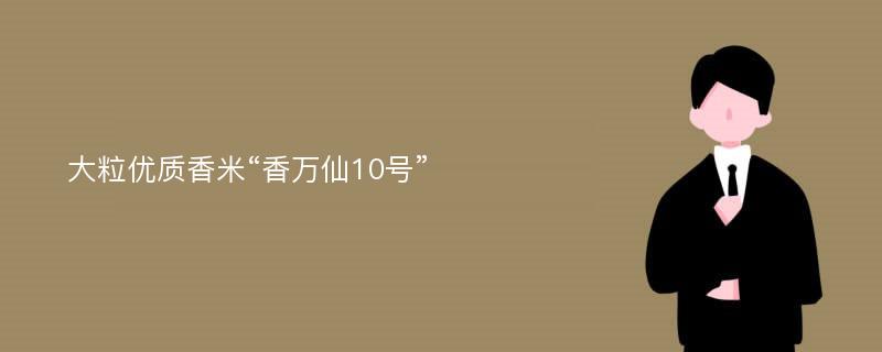 大粒优质香米“香万仙10号”