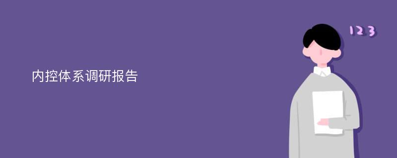 内控体系调研报告