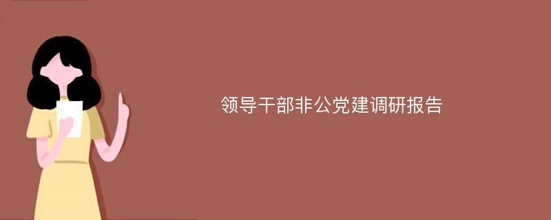 领导干部非公党建调研报告